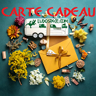 CARTE CADEAU D'UNE VALEUR DE 100 €